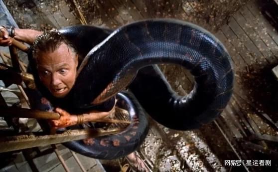 狂蟒之灾雅酷在线观看,雅酷平台独家呈现! 第3张 狂蟒之灾雅酷在线观看,雅酷平台独家呈现! 第3张